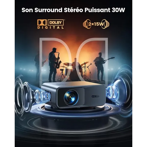 puissance haut parleur 30w